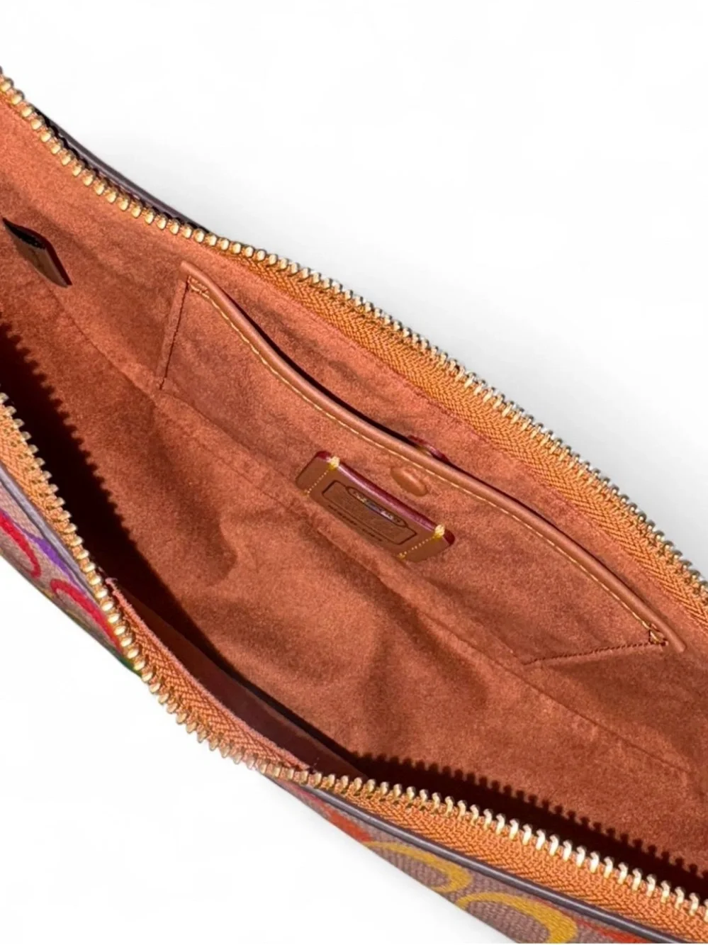 Coach Luna Shoulder Bag & Hat In Rainbow Signature Canvas